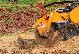 Best Tree Mulching  in Great Bend, NY