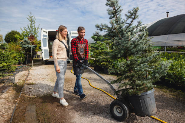 Best Storm Damage Tree Cleanup  in Great Bend, NY